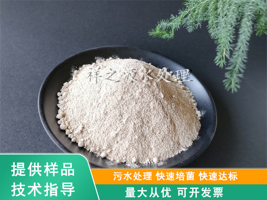 硝化菌種